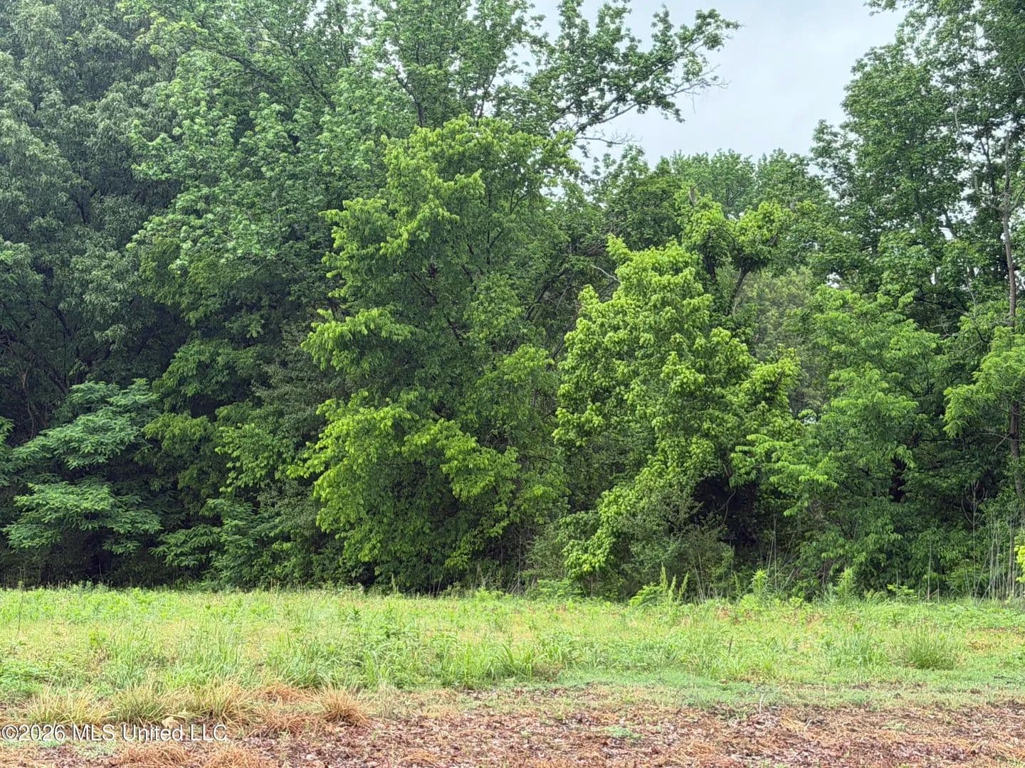 Property from Green River Road - KW - Lake Cormorant, Mississippi, 38641