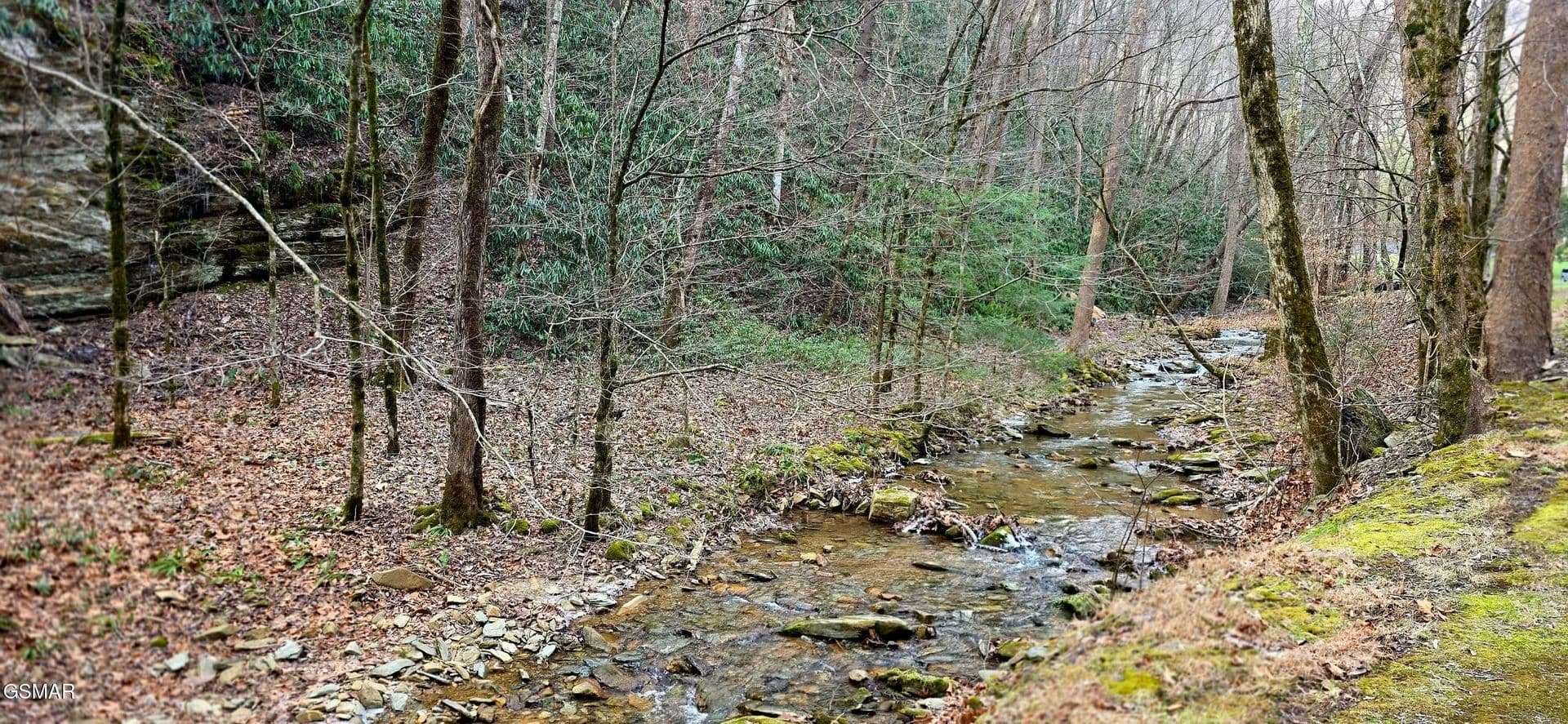 Property from Lot 0002 N Clear Fork Road - KW - Sevierville, Tennessee, 37862