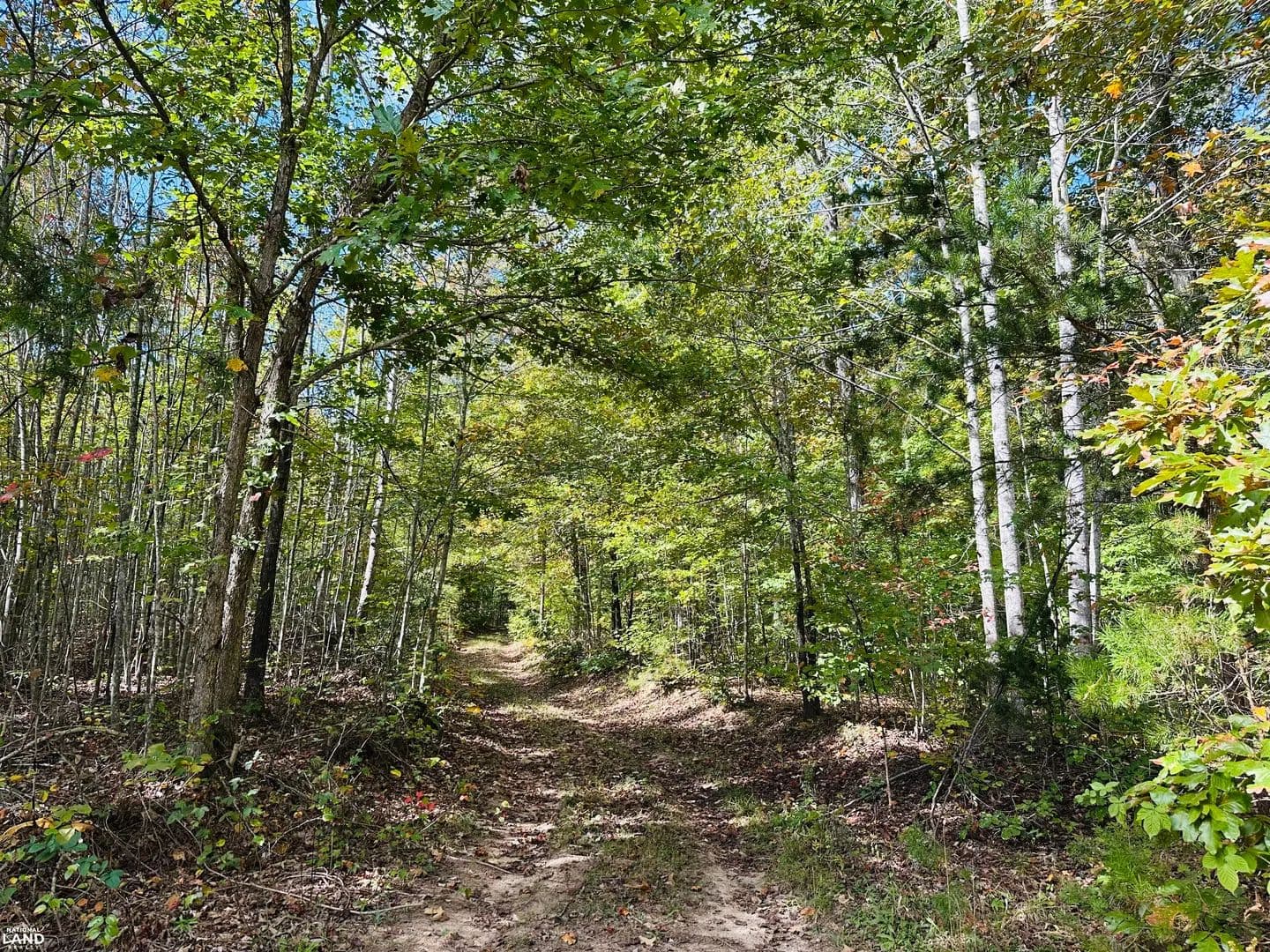 Recreation Parcel with trails - New Canton, Virginia, 23123