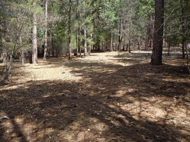 Vacant Land in Quincy - Quincy, California, 95971