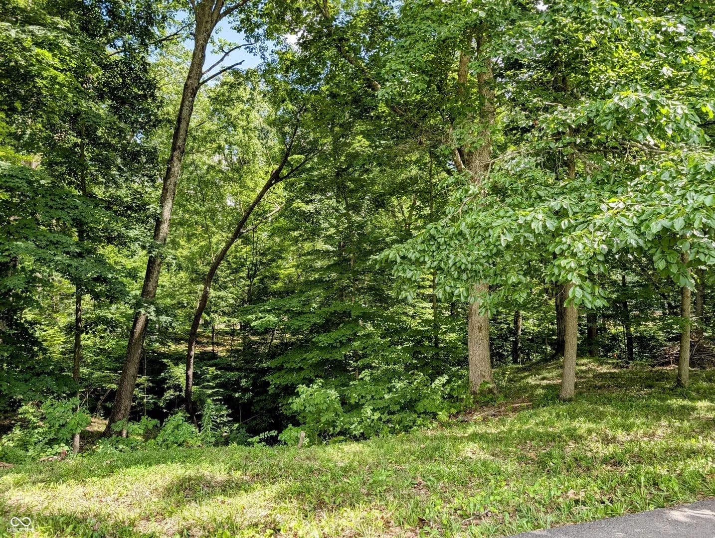 Property from 0 S Cove Road - KW - Martinsville, Indiana, 46151