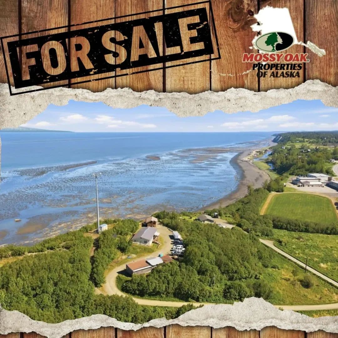 66990 Willow Ct - Ninilchik, Alaska, 99639