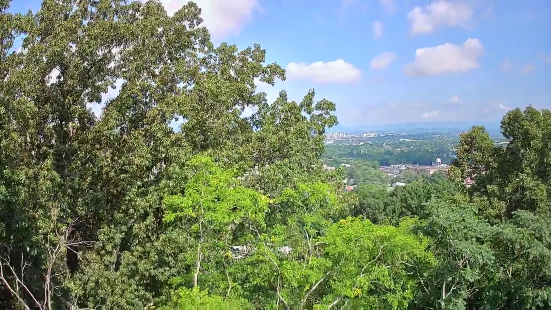 Property from 15 Th Avenue #50-51 - KW - Chattanooga, Tennessee, 37404