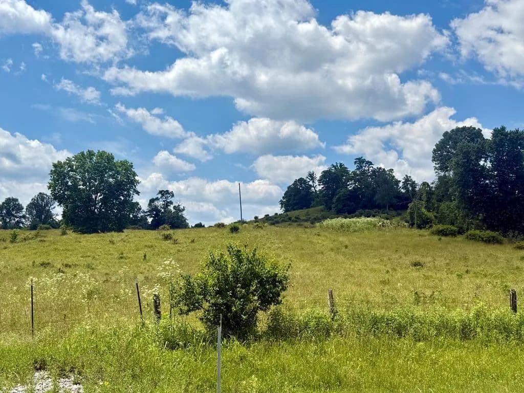 172.22 Acres of Land for Sale in Bainbridge, Ohio - Bainbridge, Ohio, 45612