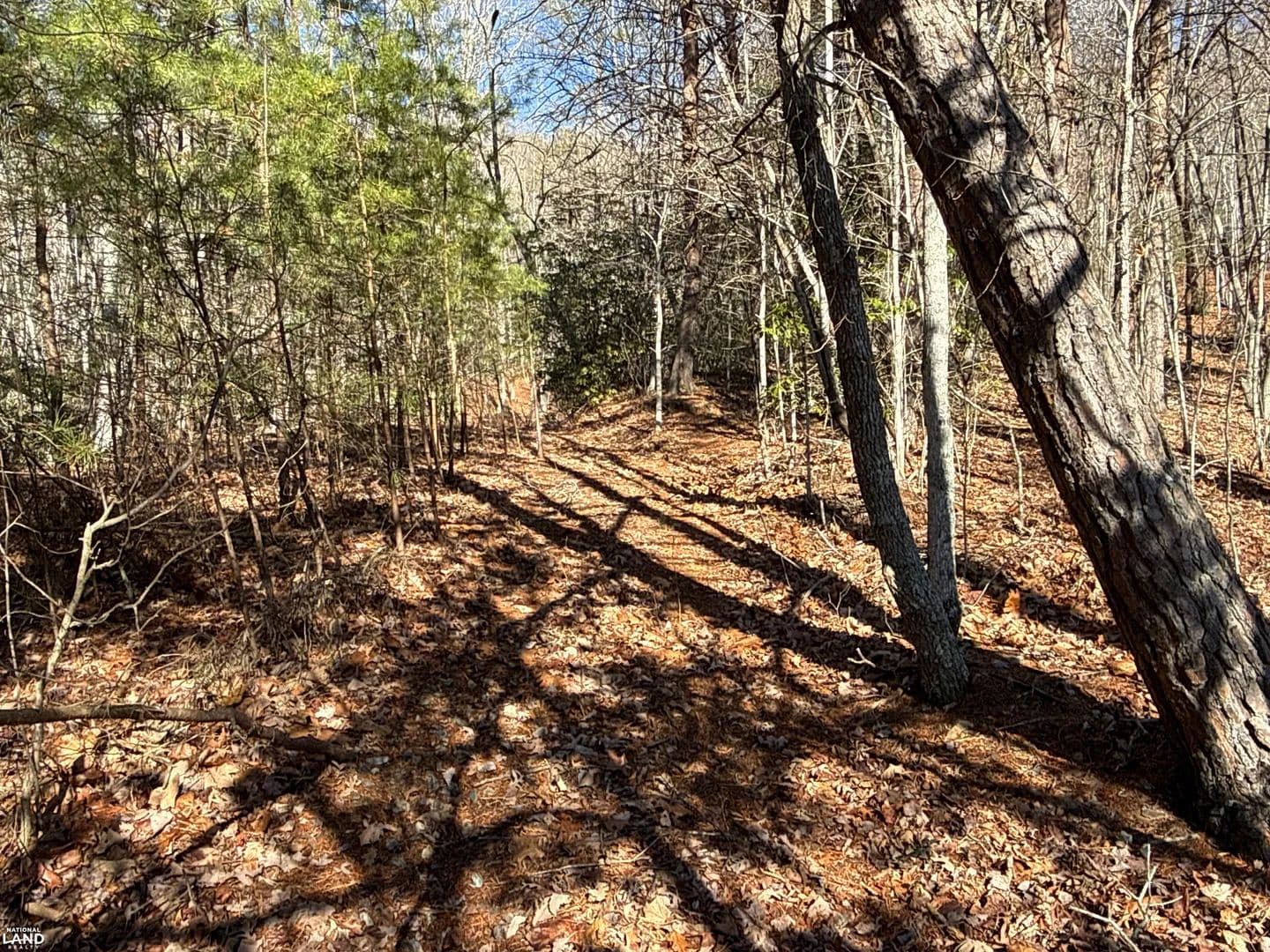 Newfound Peaceful Retreat - Leicester, North Carolina, 28748