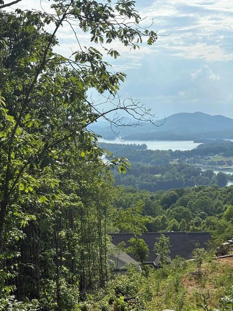 Property from Lot 46 Dan Knob (Lot) - KW - Hayesville, North Carolina, 28904