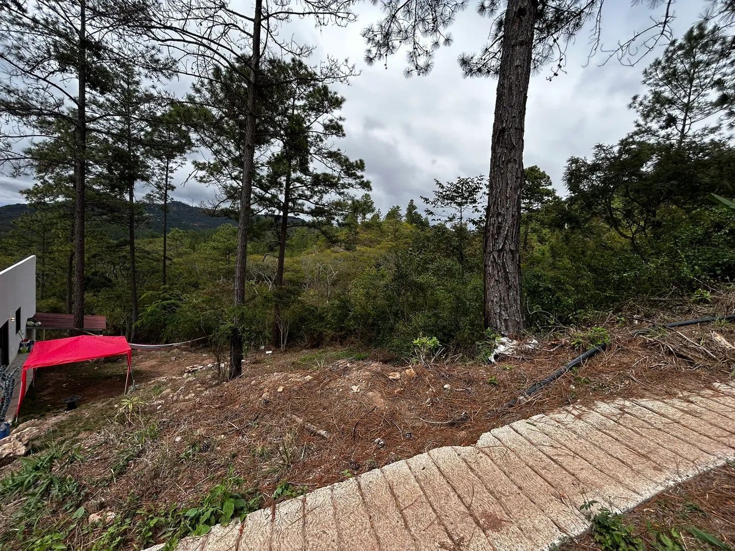 Terreno en Venta Los Enredos, Tatumbla - land for sale