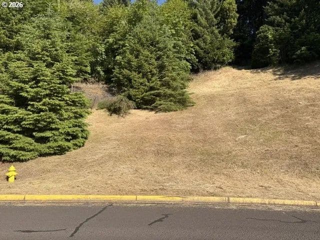 Property from Kalapuya WAY ##4700 - KW - Cottage Grove, Oregon, 97424