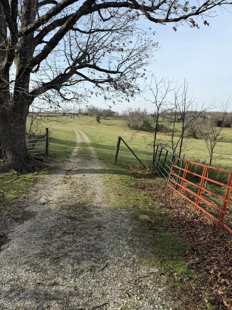 200 Acres of Land for Sale in Caulfield, MO - Caulfield, Missouri, 65626