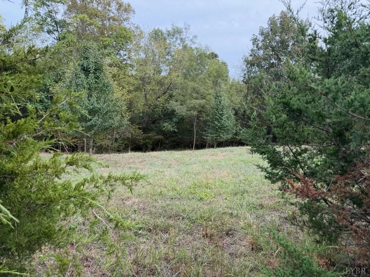 Vacant Land (0-10 Acres) in Moneta - Moneta, Virginia, 24121