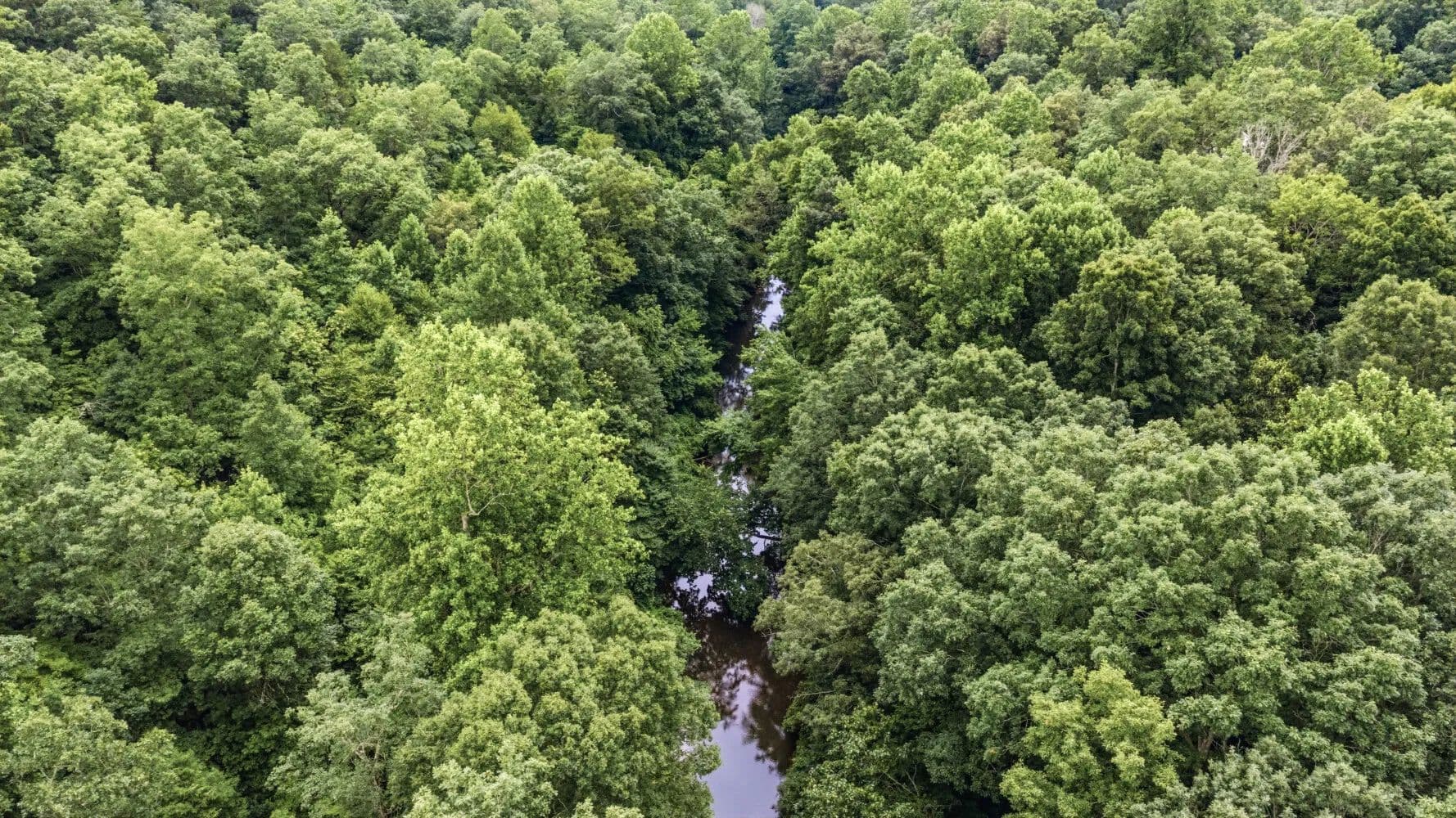 Riverfront Acreage Atop Lookout Mountain, AL Tract 2 - Mentone, Alabama, 35984