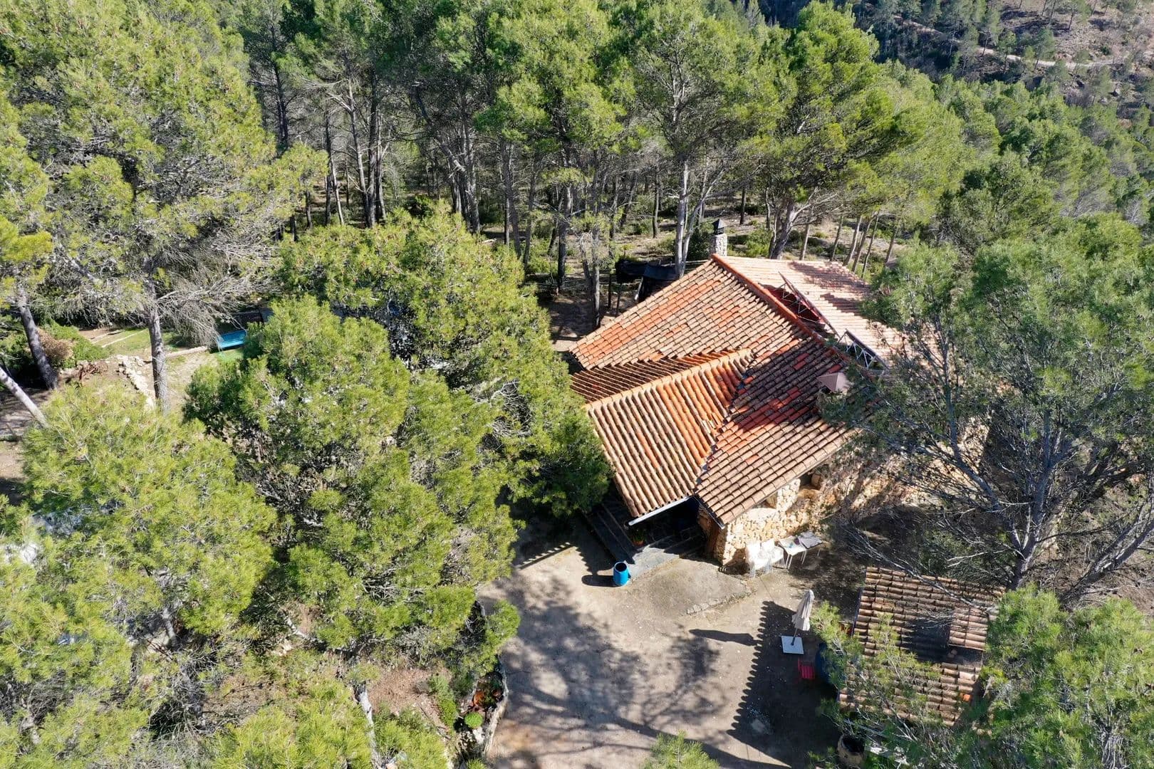 Se vende finca con negocio - land for sale