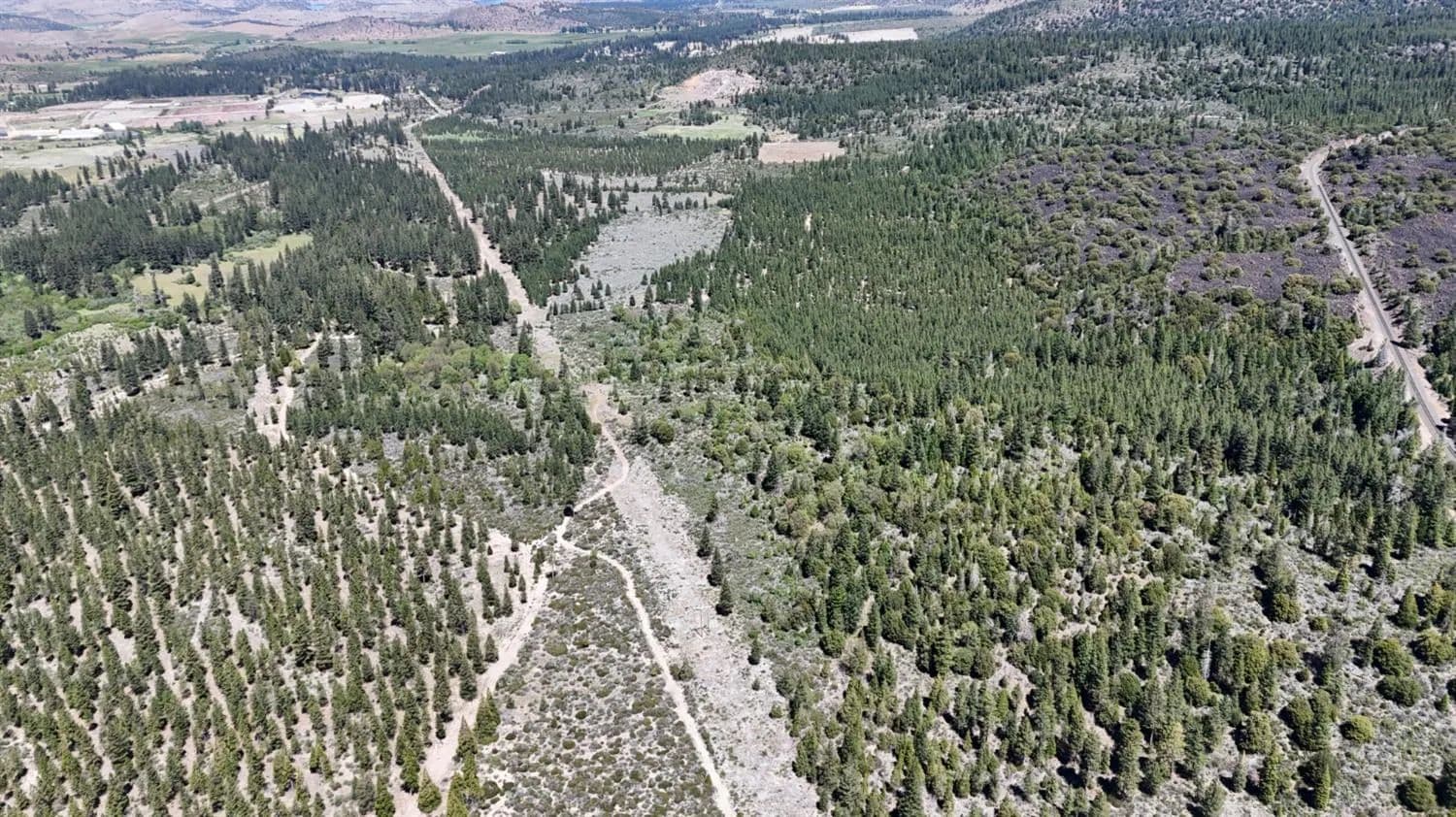 Property from 0 0 Black Butte Lookout Drive - KW - Weed, California, 96094