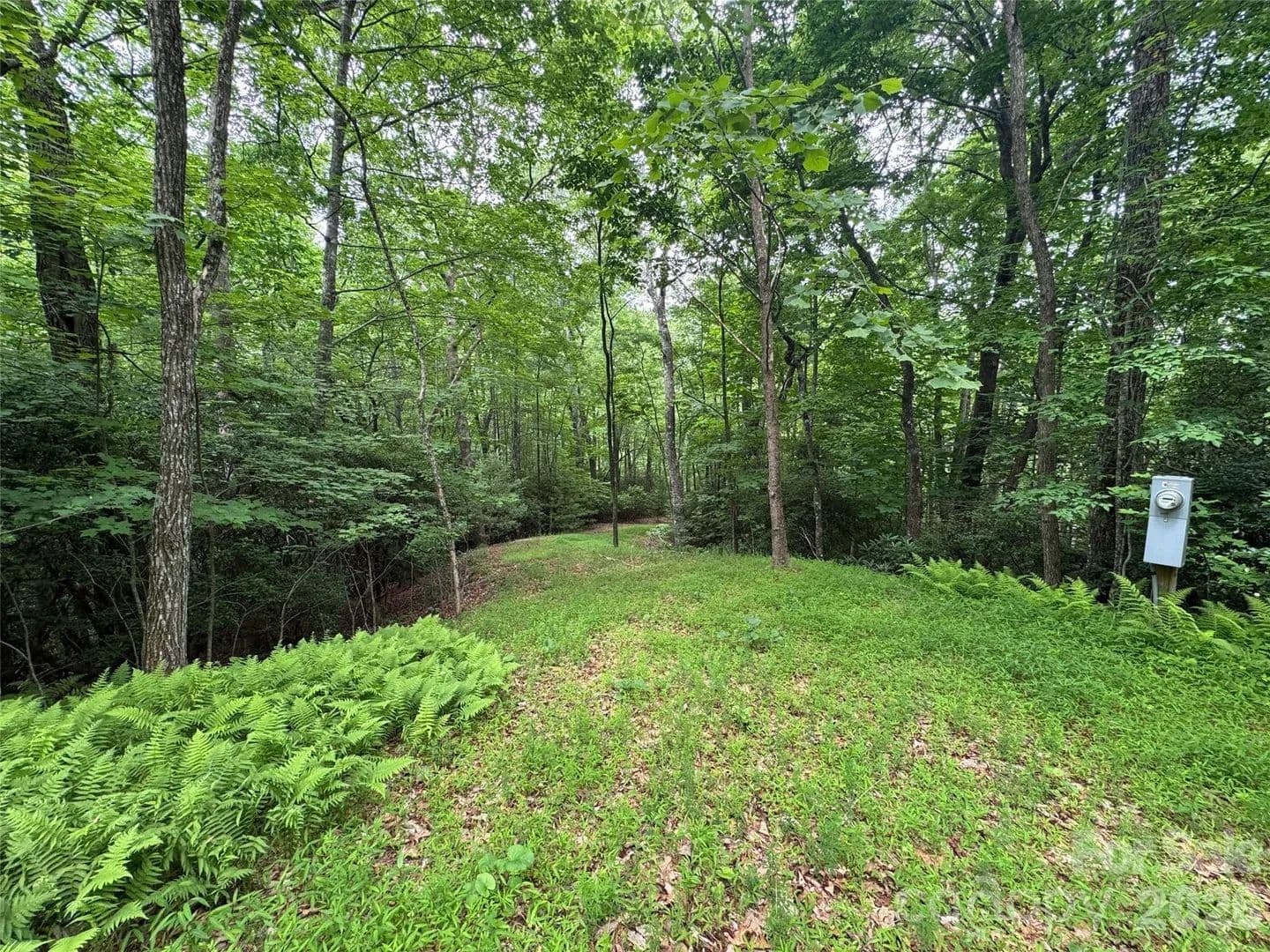 Property from 000 Chestnut Oak Lane - KW - Pisgah Forest, North Carolina, 28768