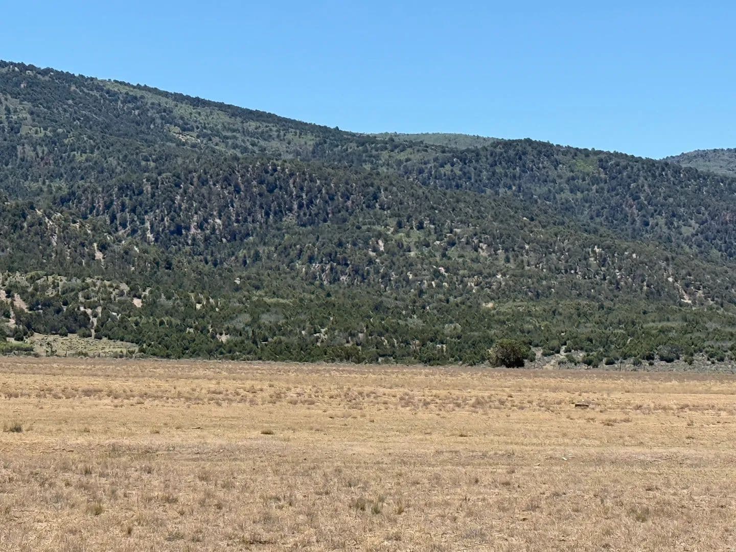 Property from #4 - KW - Spring City, Utah, 84662