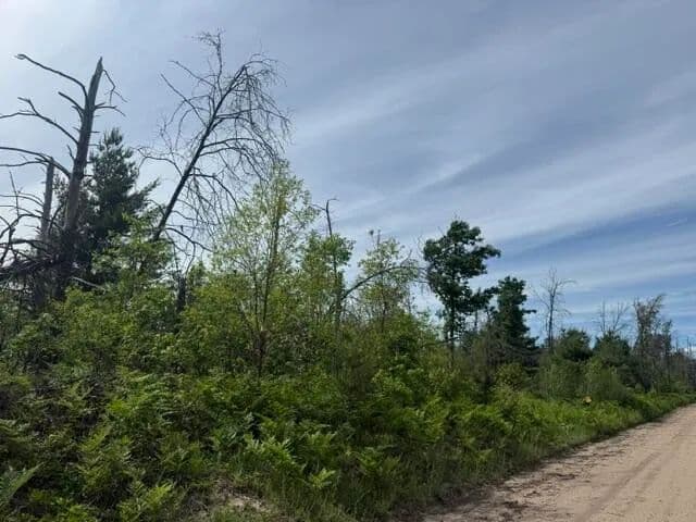 Property from Parcel 3 Nelson Road - KW - Idlewild, Michigan, 49642