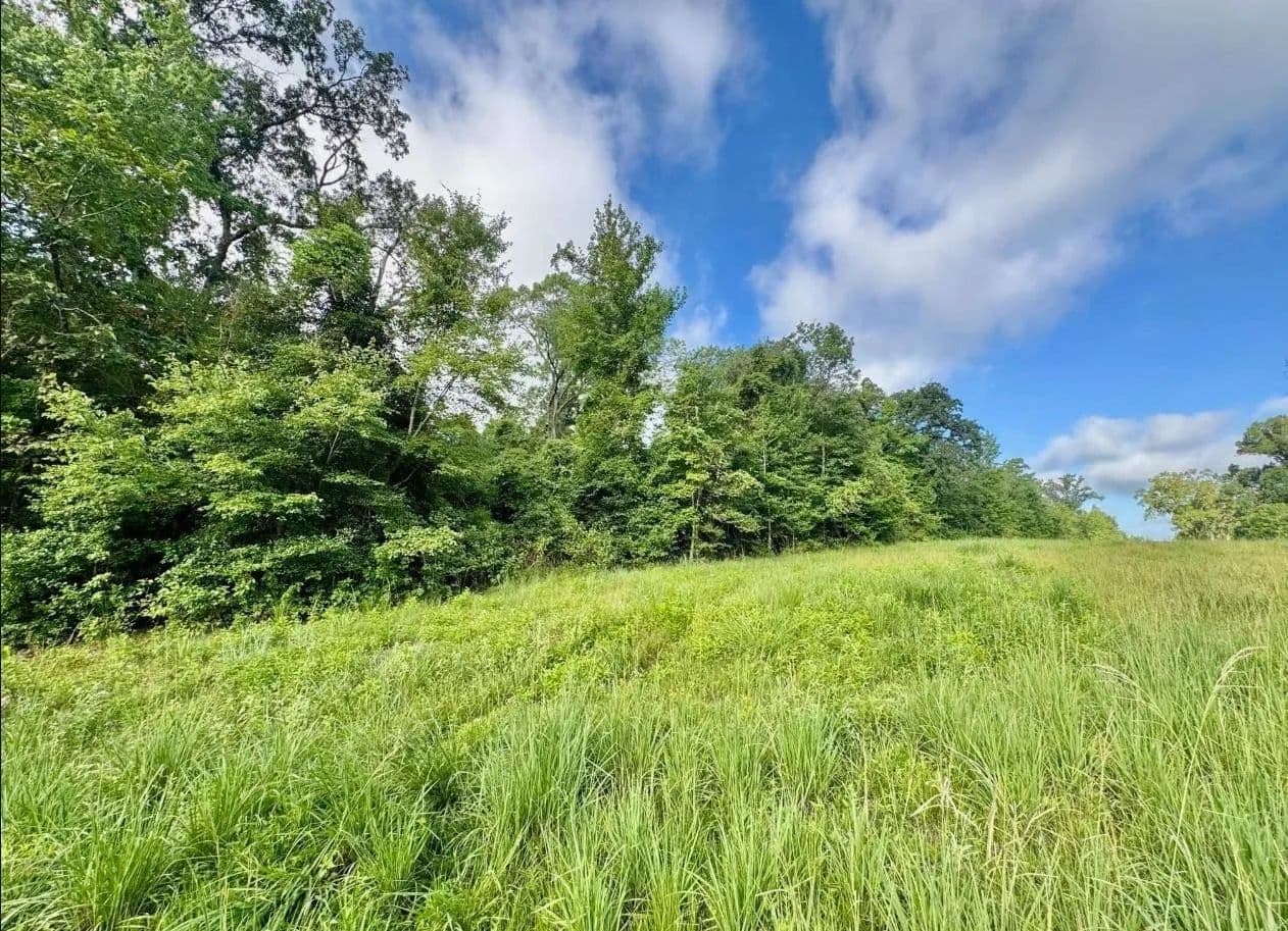 Property from TBD CR 369 - KW - Winona, Texas, 75792