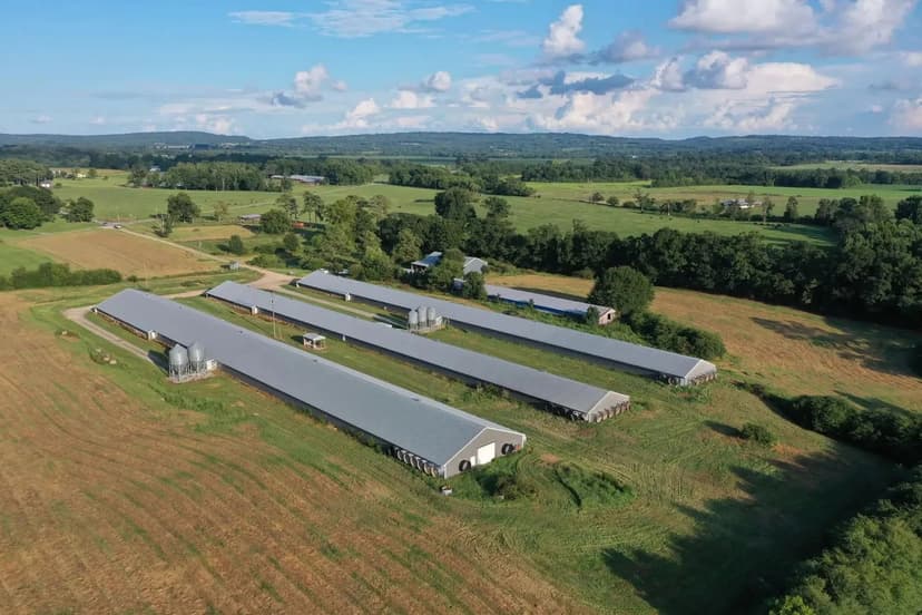 Kathy’s Broiler Farm – Three House Farm in Blount County, Alabama