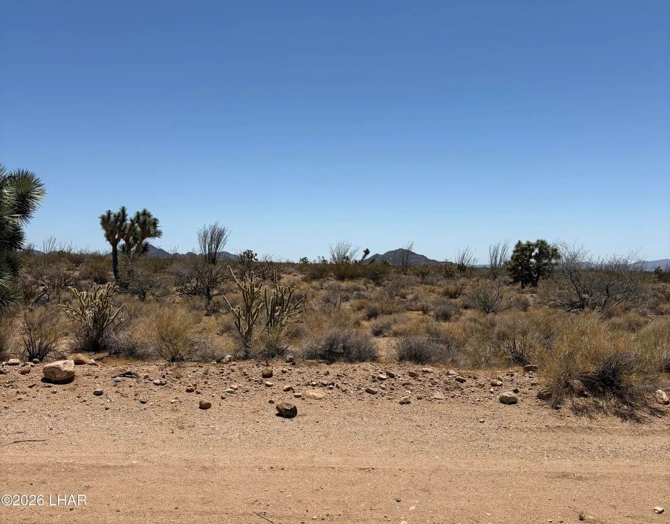 Vacant Land in Yucca - Yucca, Arizona, 86438
