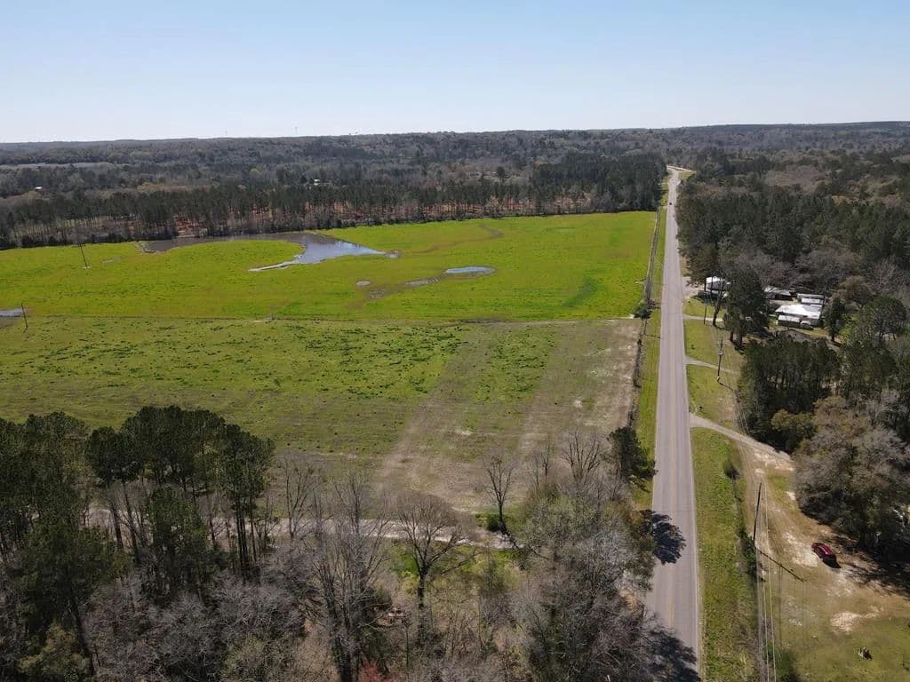 133 Acres of Land for Sale in Newton, AL - Newton, Alabama, 36352