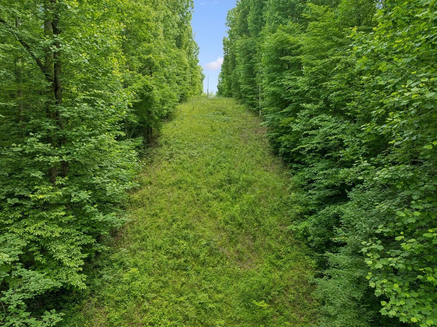 Property from 0 Davis Hollow Rd - KW - Franklin, Tennessee, 37064