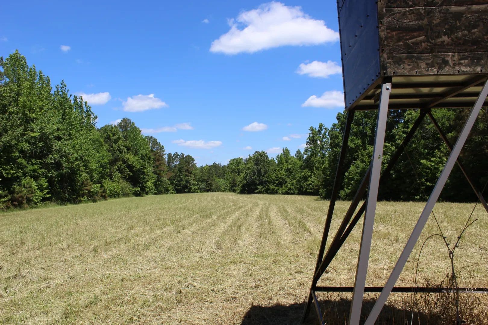 70.46 Acres in Hardeman County, TN - Bolivar, Tennessee, 38008