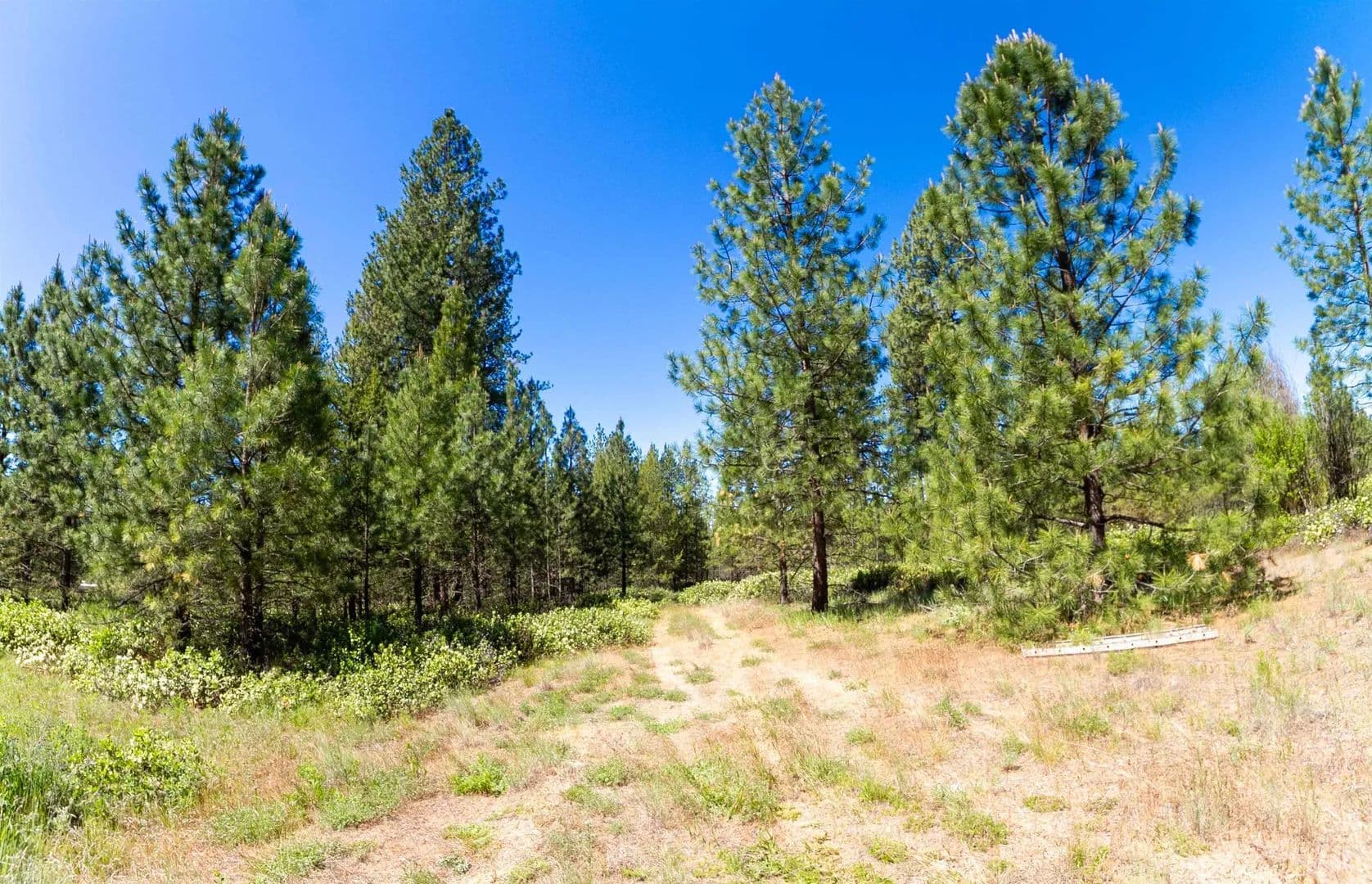 Property from 29XXX N Hardesty Rd - KW - Chattaroy, Washington, 99003