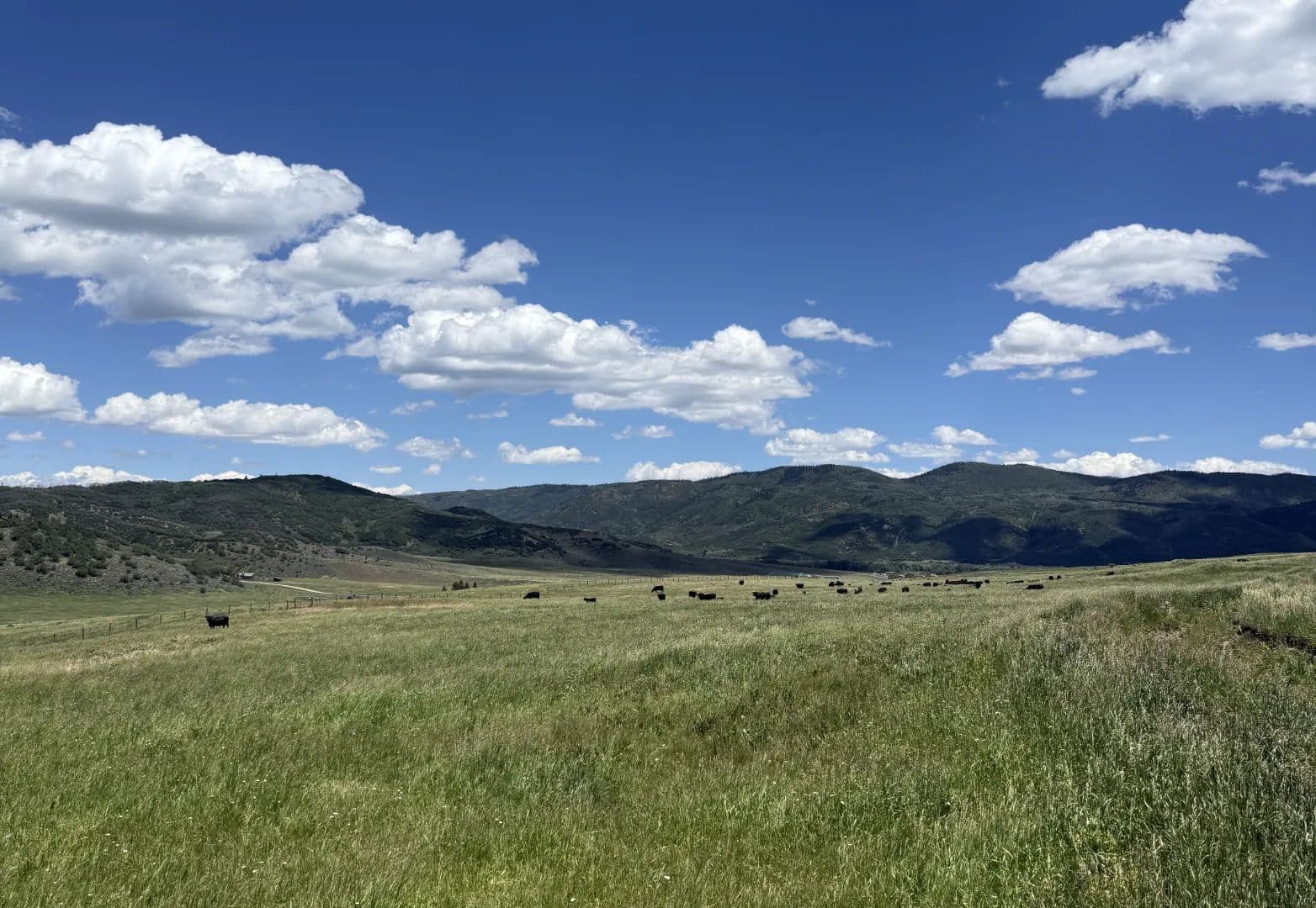 Long Gulch Land - Colorado, 80487