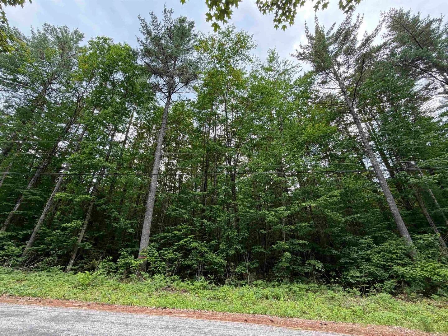 Property from 00 Rolling Ridge Road - KW - Bartlett, New Hampshire, 3812