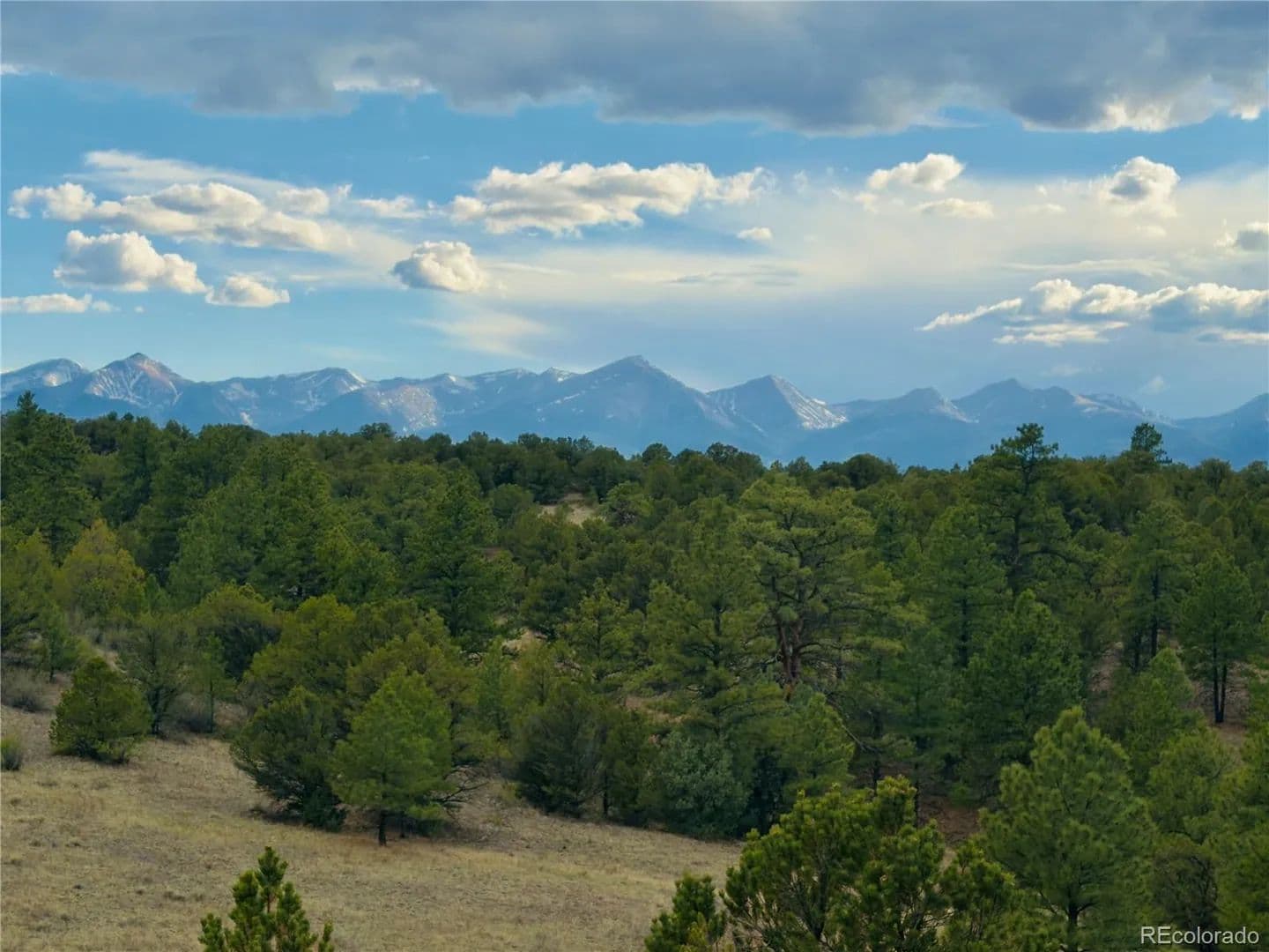 35 Acres of Land for Sale in Cotopaxi, Colorado - land for sale