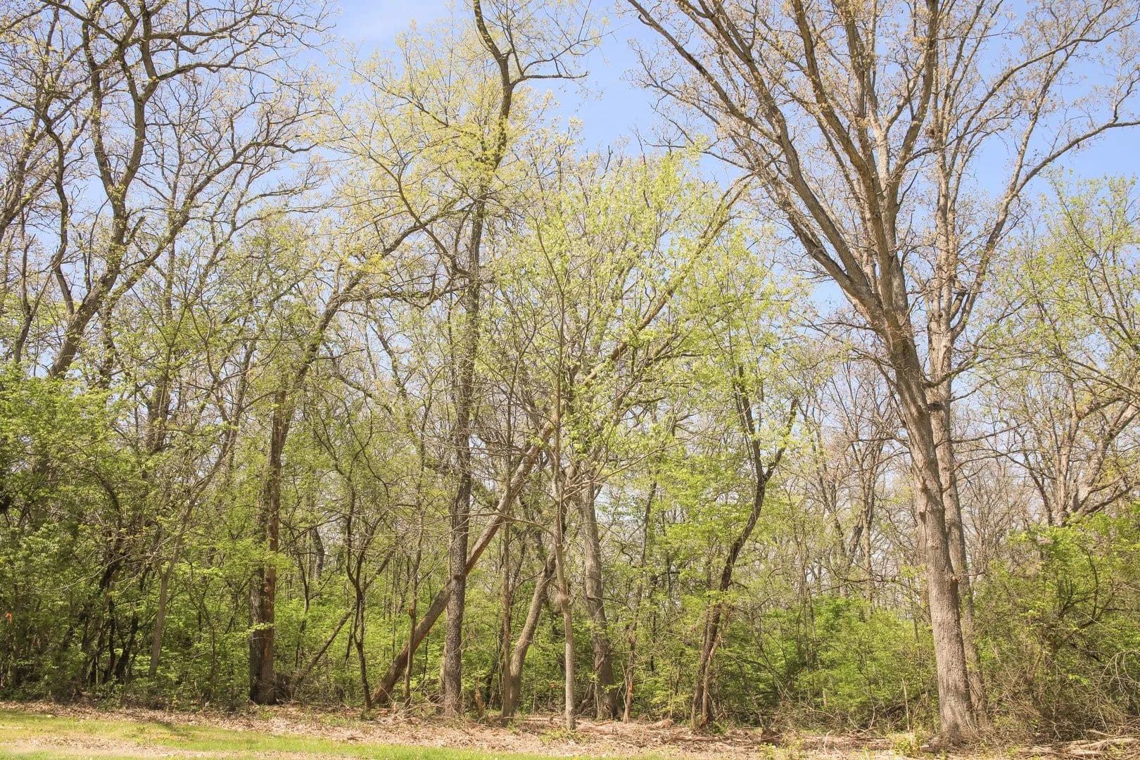1.63 Acres of Land for Sale in Marengo, Illinois - Marengo, Illinois, 60152