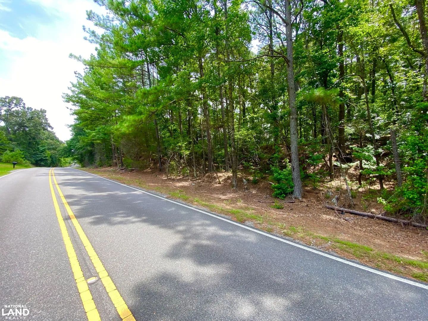 Coker: Mt. Olive Road - 22 ac. - Home Site & Hunting Tract - Coker, Alabama, 35452