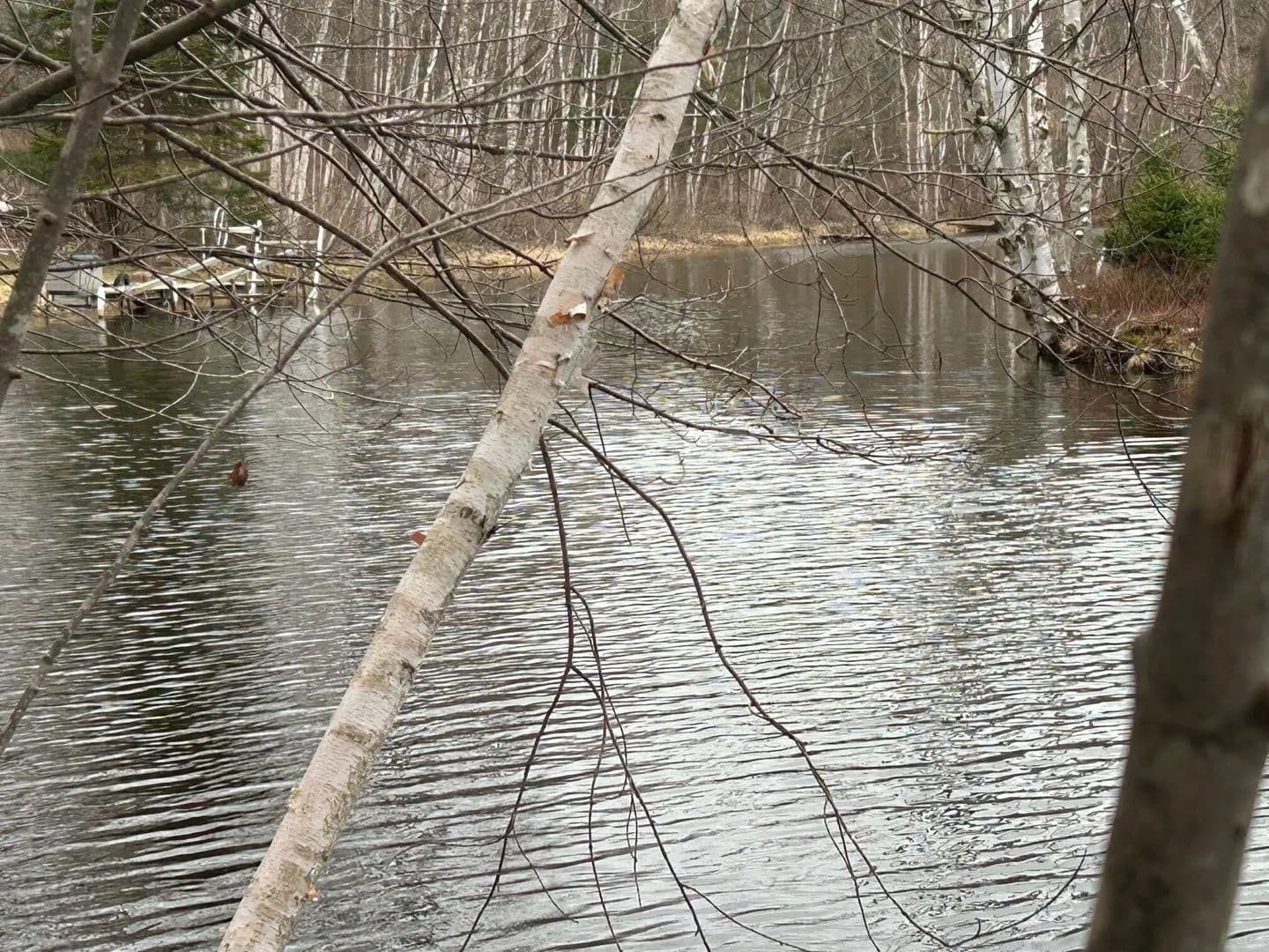 Lots & Land-Other in Canadian Lakes - Canadian Lakes, Michigan, 49346