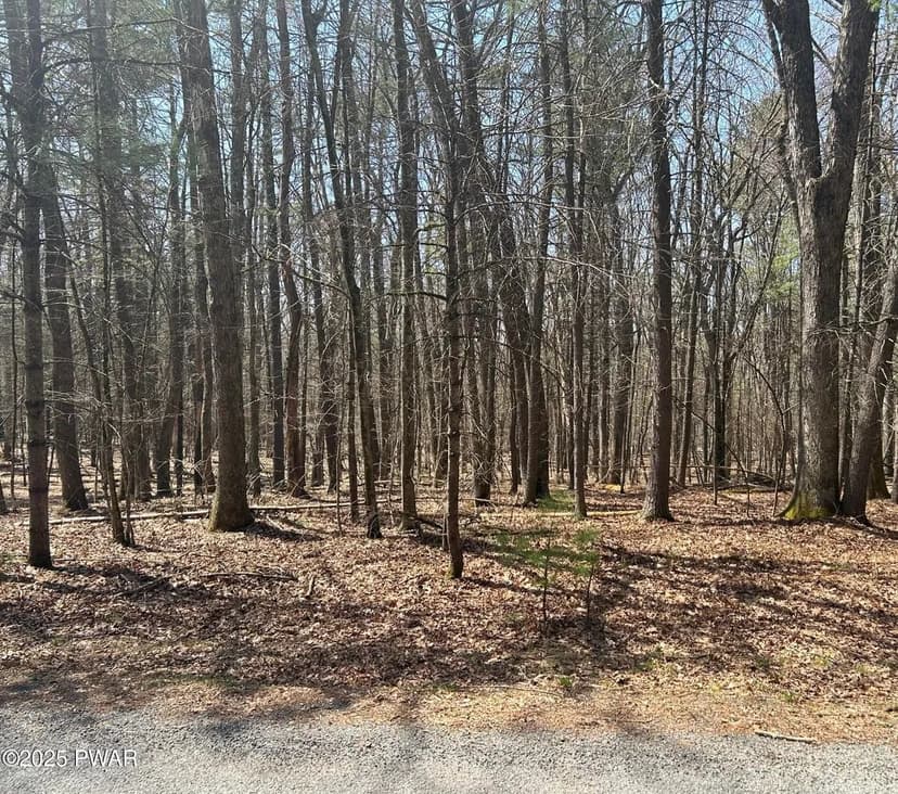 Lots & Land-Other in Hawley