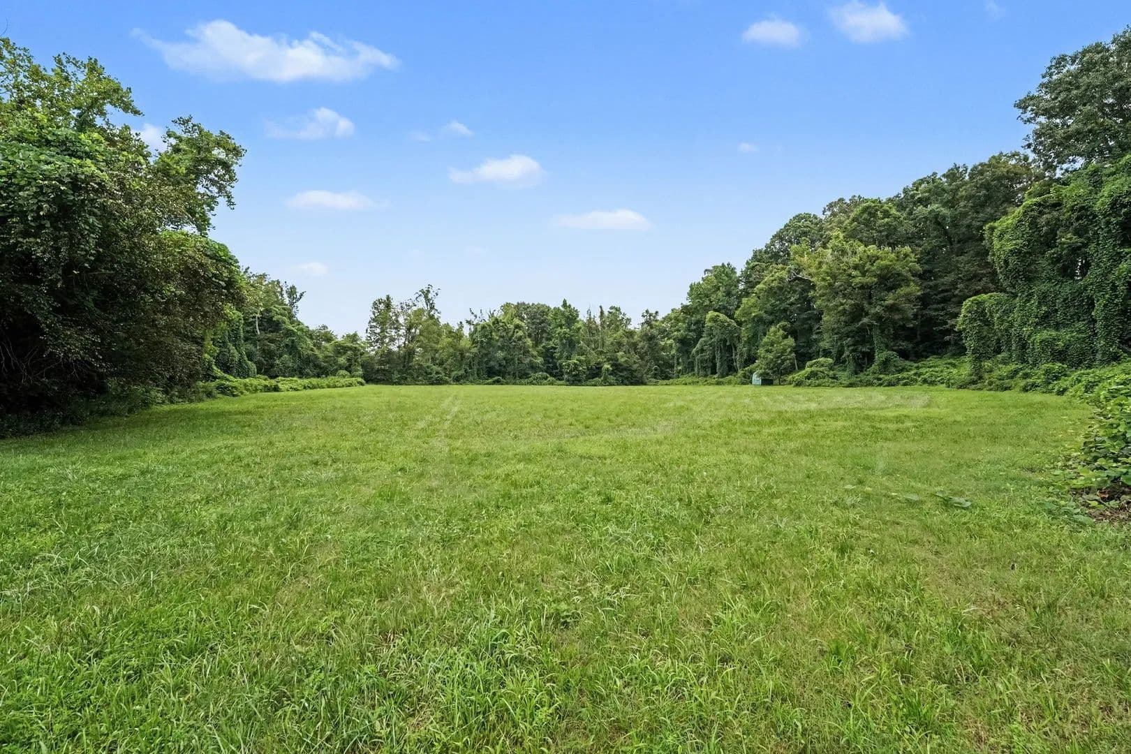 Land -Single Family Acreage in Madison - Madison, North Carolina, 27025