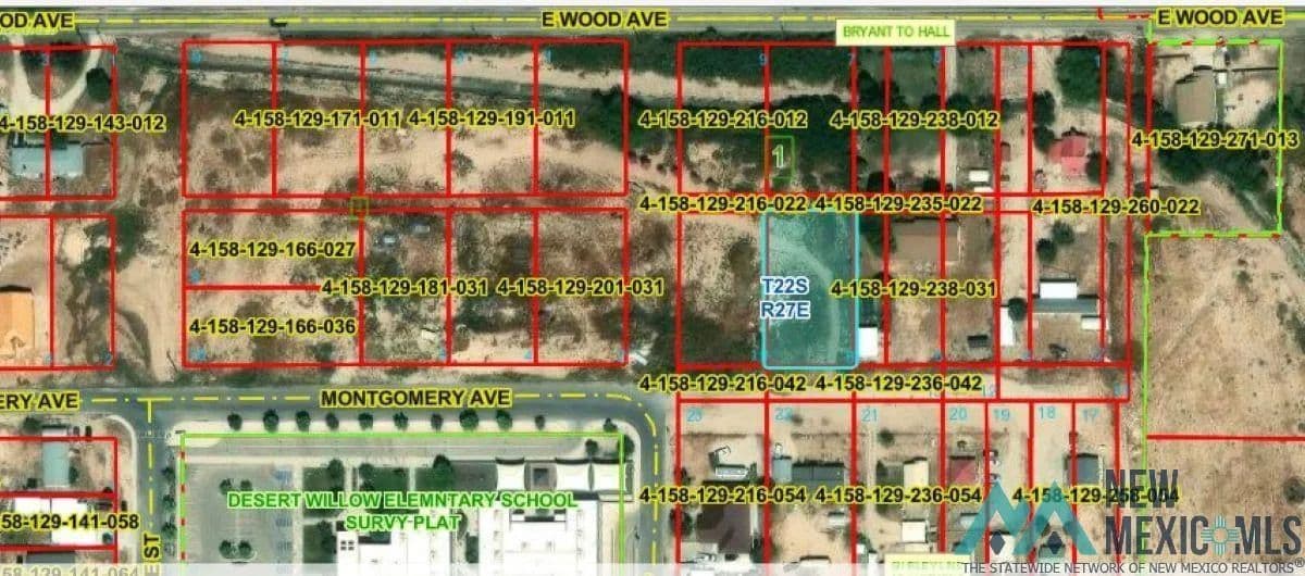 100 Acres of Land for Sale in Carlsbad, New Mexico - Carlsbad, New Mexico, 88220