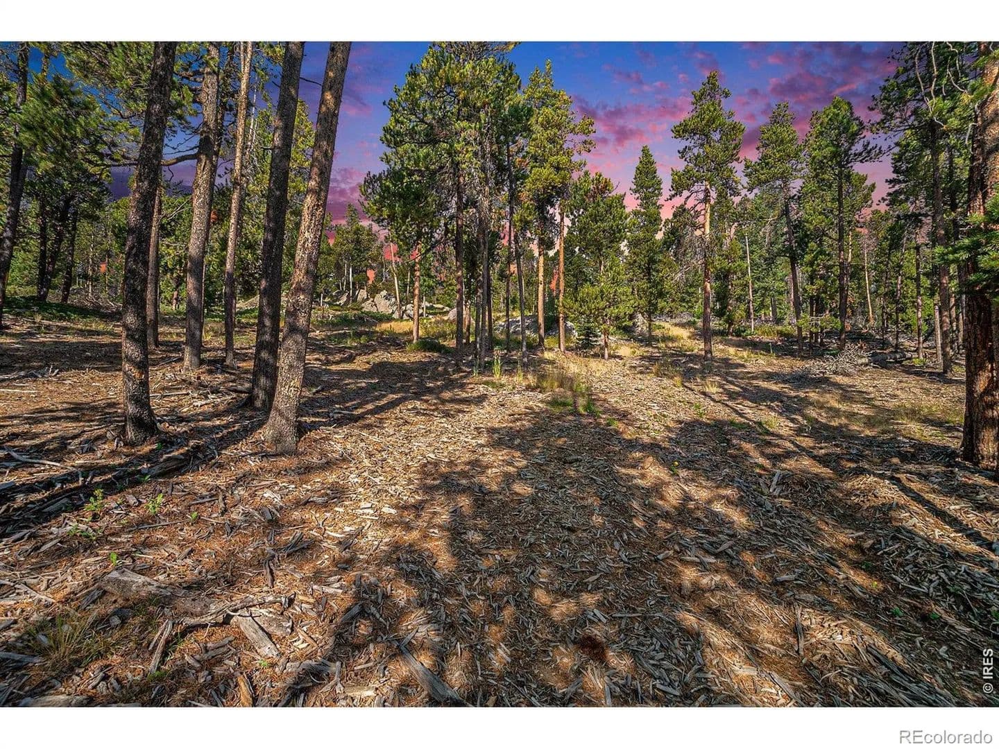 Property from 231 Granite Drive - KW - Drake, Colorado, 80515
