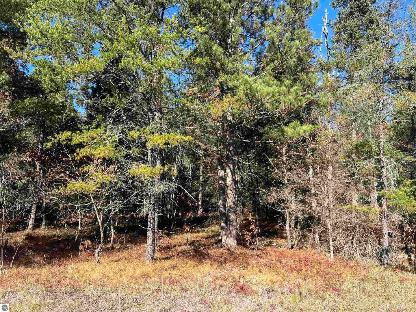 Property from 00 E North Down River Road - KW - Grayling, Michigan, 49738