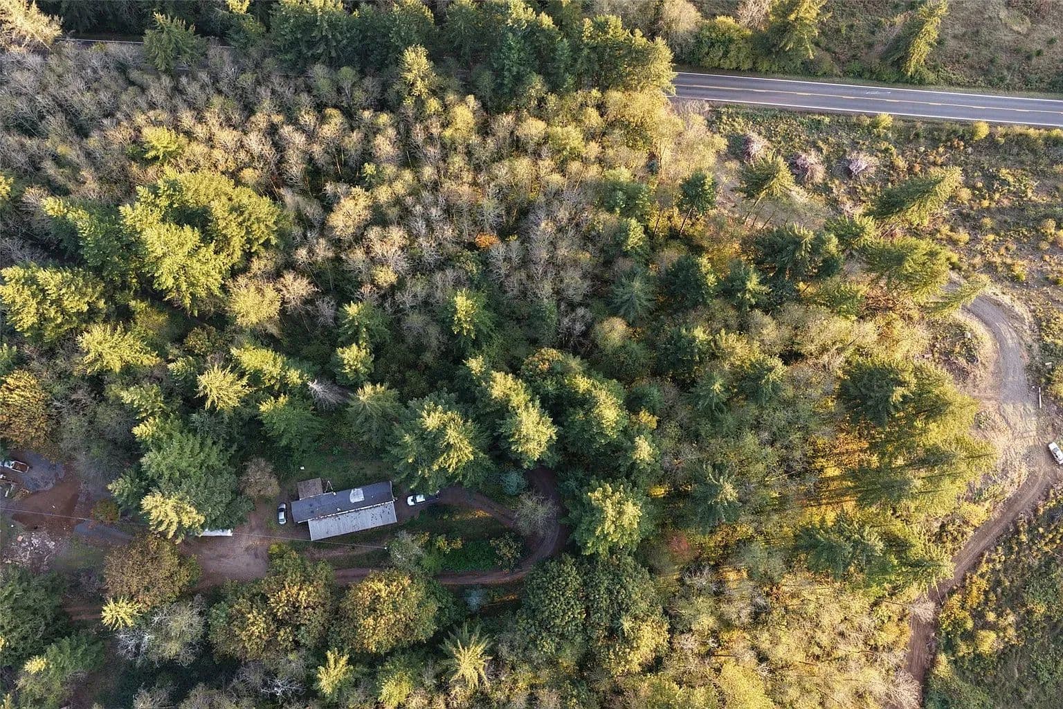 4.99 Acres of Recreational Land in Amboy, WA for Sale - Amboy, Washington, 98601