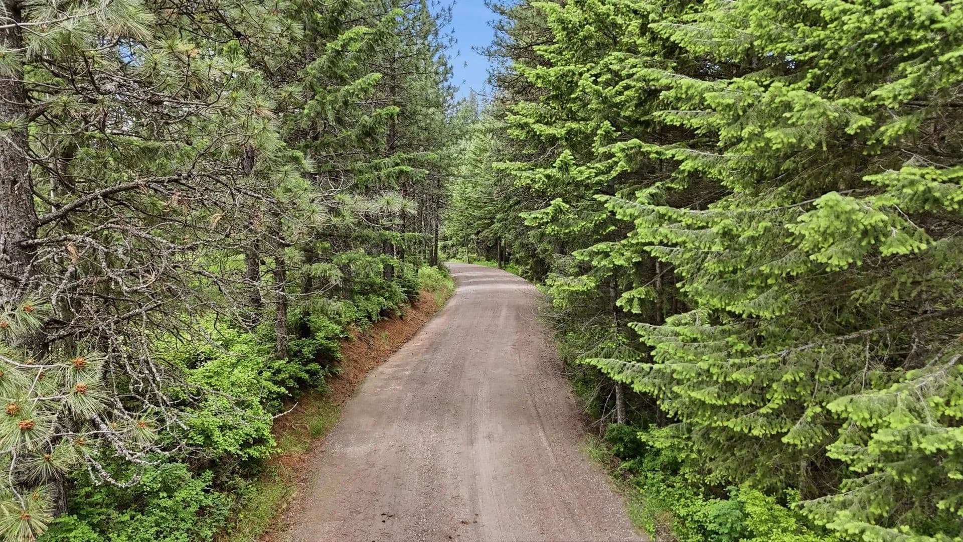 Property from NNA N Travis Rd - KW - Spokane, Washington, 99021