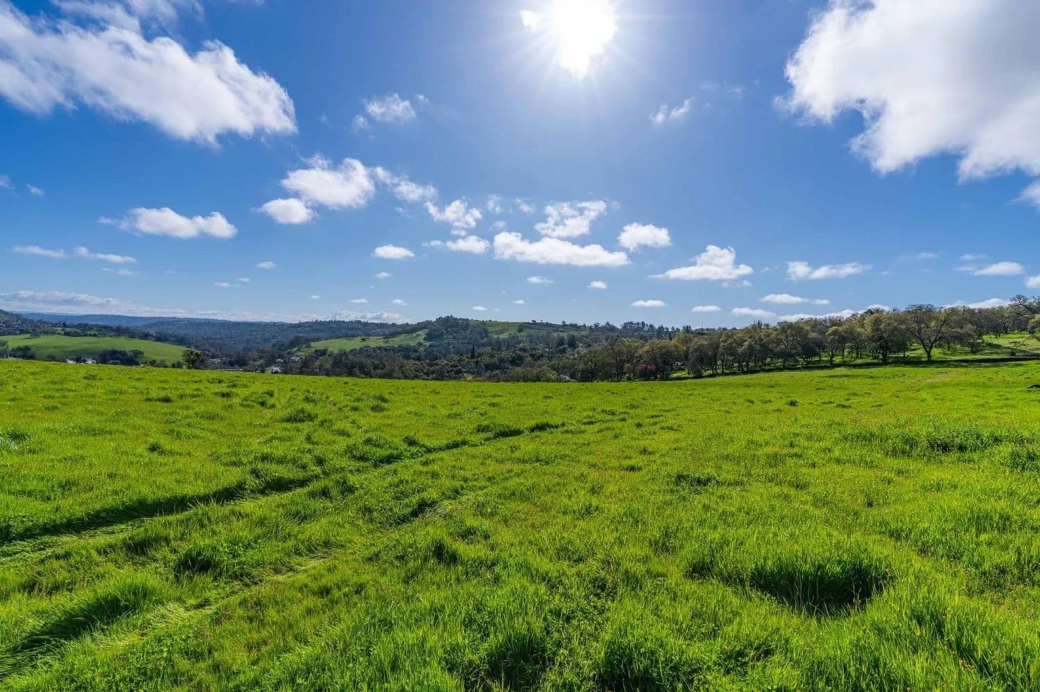 Property from 0 David Drive - KW - Sutter Creek, California, 95685
