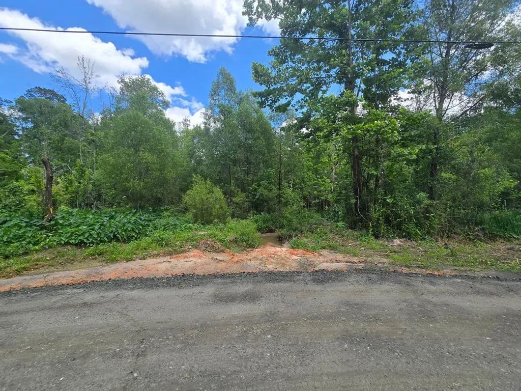 0.05 Acres of Land for Sale in Woodville, Texas - Woodville, Texas, 75979