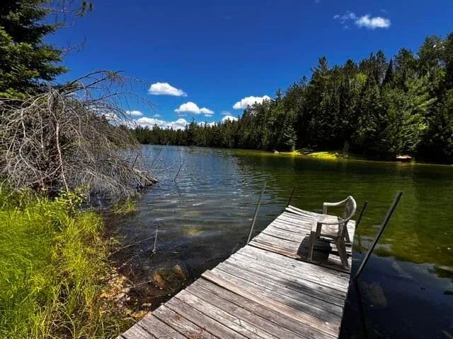 1.34 Acres of Land for Sale in Wolverine, MI - Wolverine, Michigan, 49799