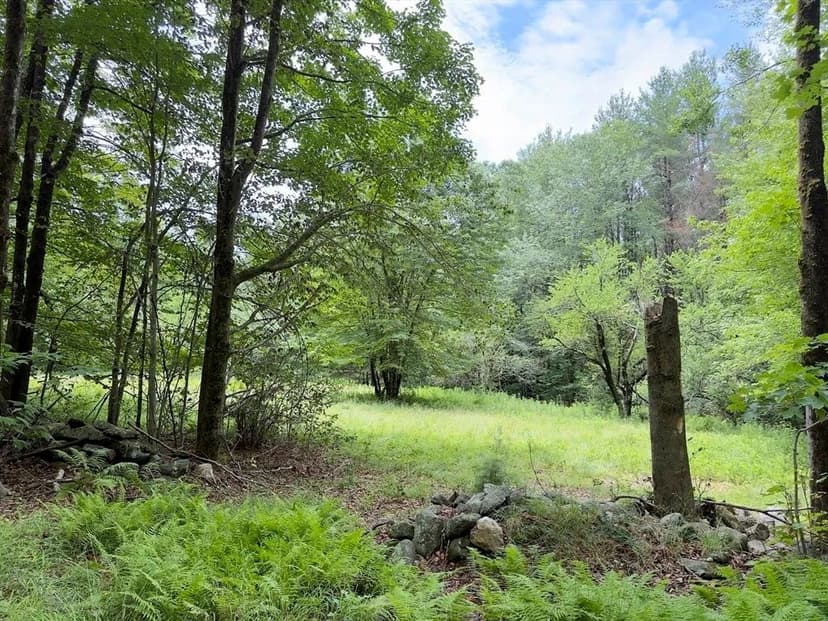 Lots & Land-Other in Ashfield