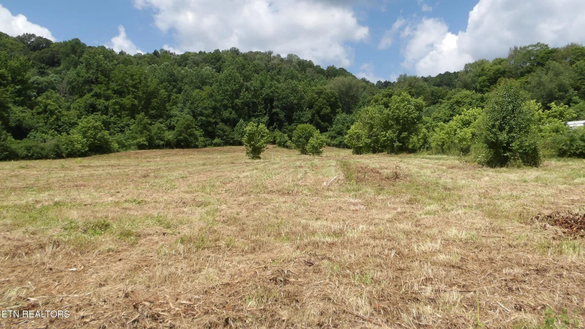 Property from 5.6 ac Lonnie Reecer Rd - KW - Celina, Tennessee, 38551