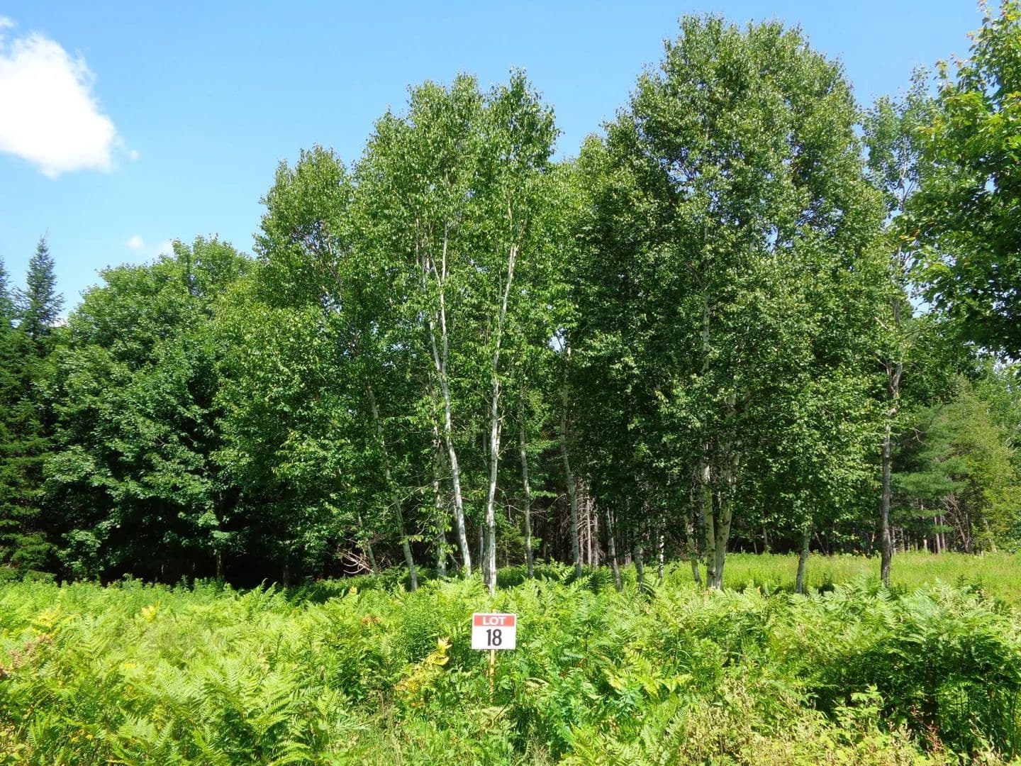 Land -Single Family Acreage in Franklin - Franklin, Maine, 04634