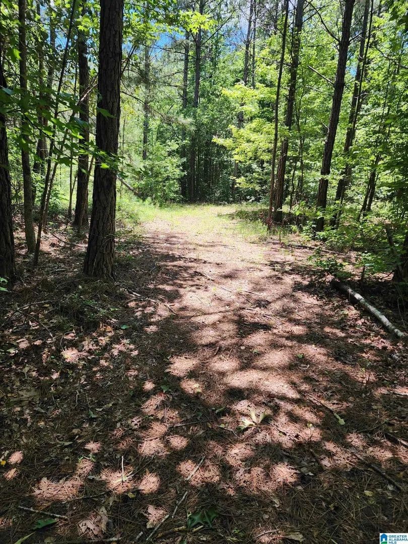 Property from COUNTY ROAD 26 #10 - KW - Wadley, Alabama, 36276