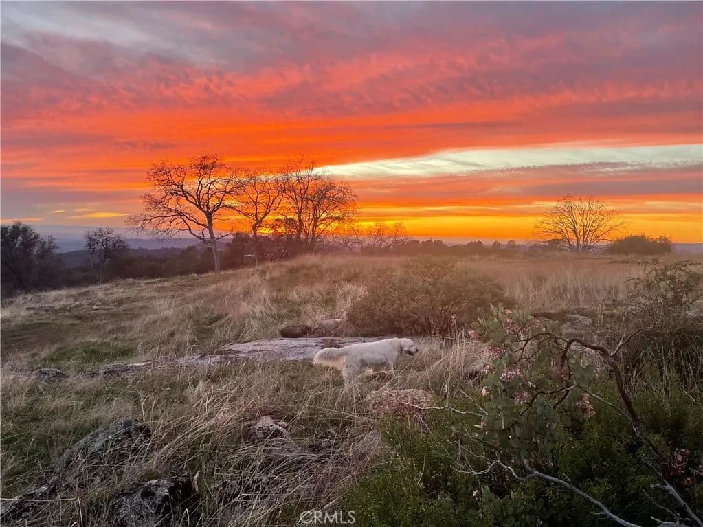 Property from 0 Buggy Whip Dr. - KW - Coarsegold, California, 93614
