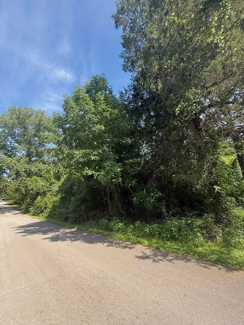 0.22 Acres of Land for Sale in Tool, Texas - Tool, Texas, 75143