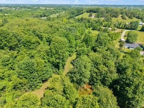 19.78 Acres of Land for Sale in Berea, Kentucky - Berea, Kentucky, 40403